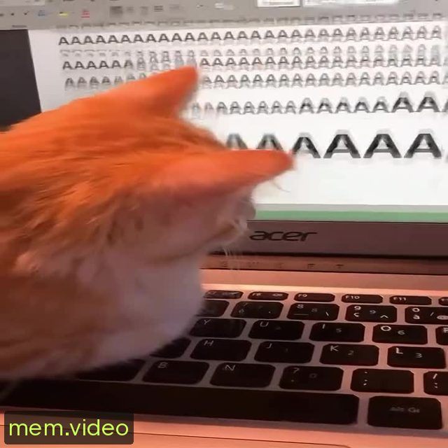 Кадр на 0:00