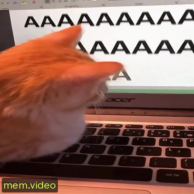Кадр на 0:01