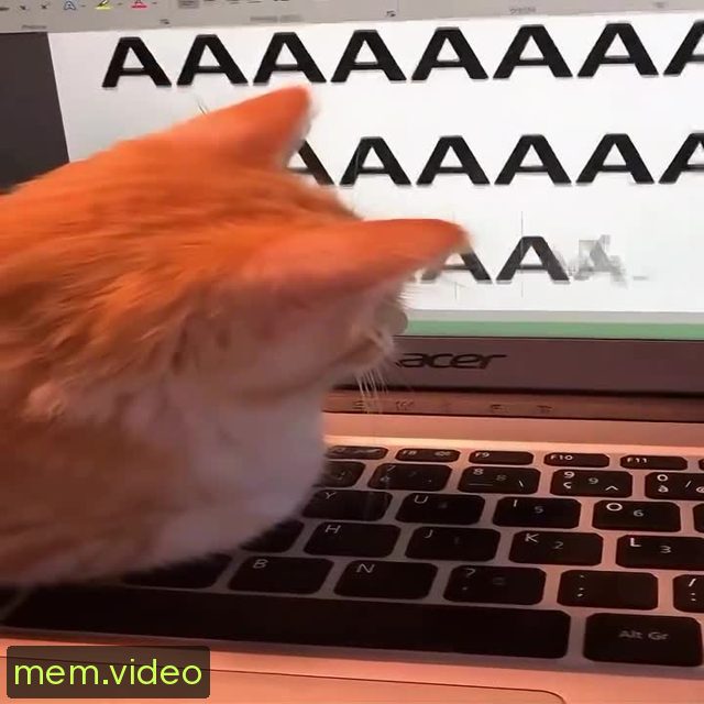 Кадр на 0:02