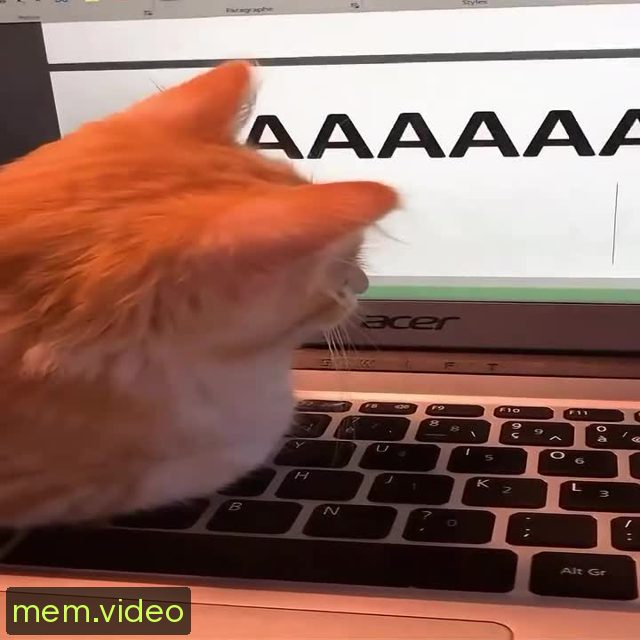 Кадр на 0:03