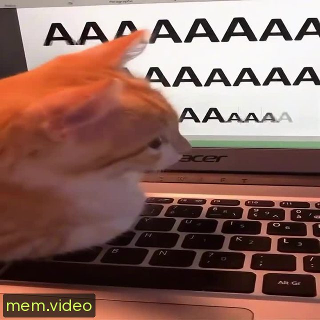 Кадр на 0:03