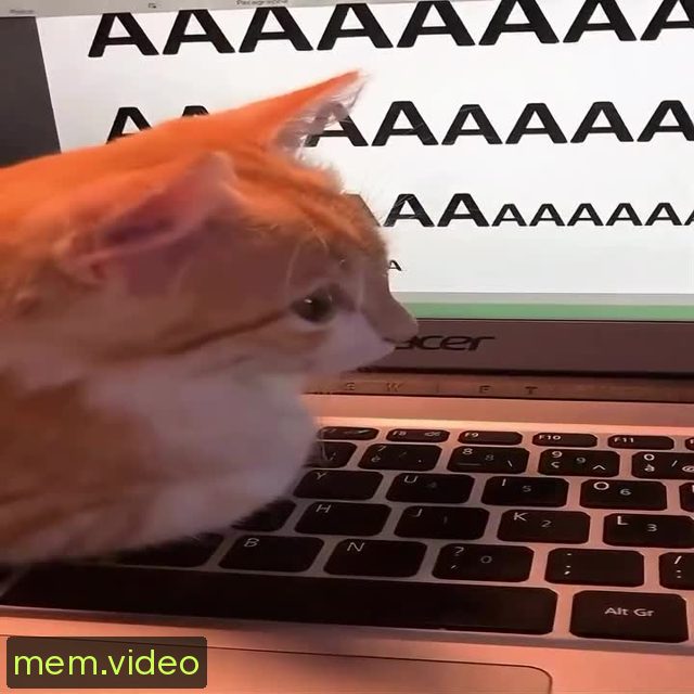 Кадр на 0:04