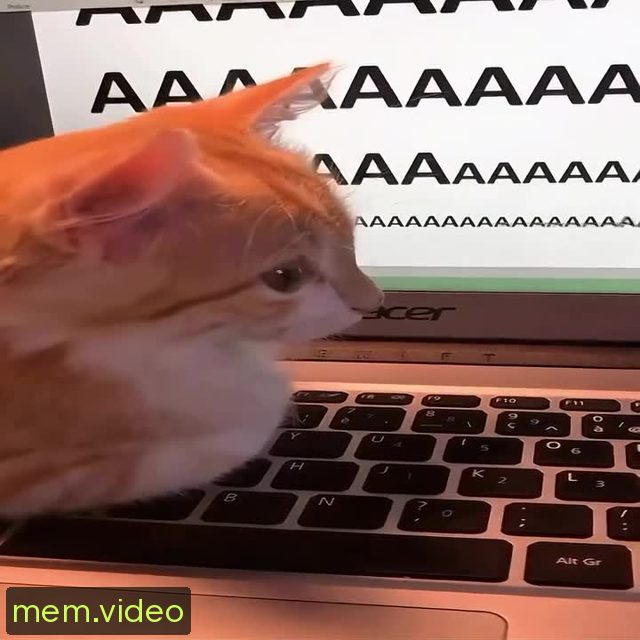 Кадр на 0:05