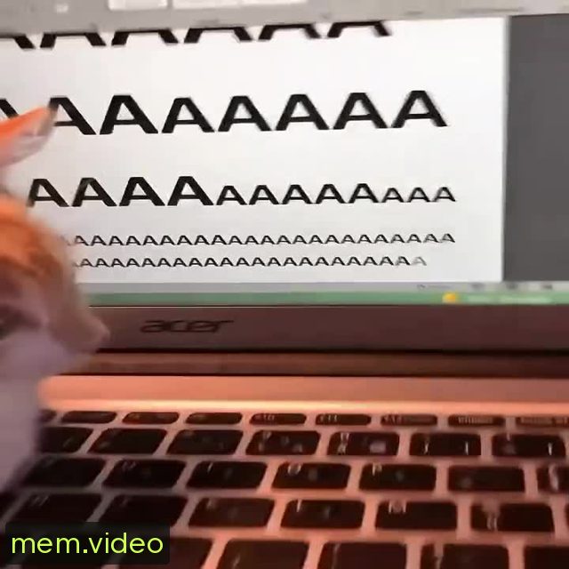 Кадр на 0:06