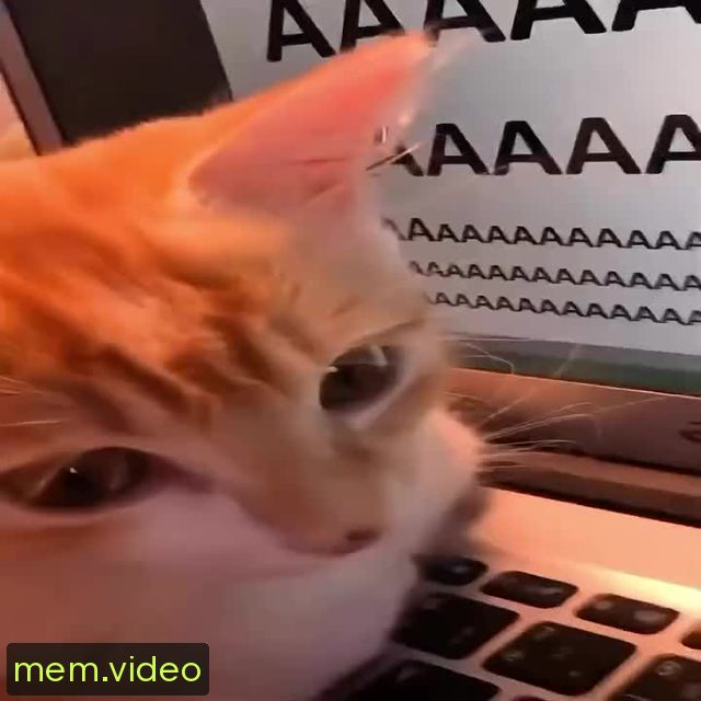 Кадр на 0:07