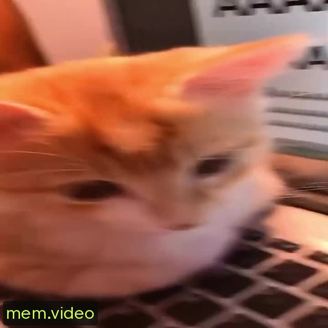 Кадр на 0:07