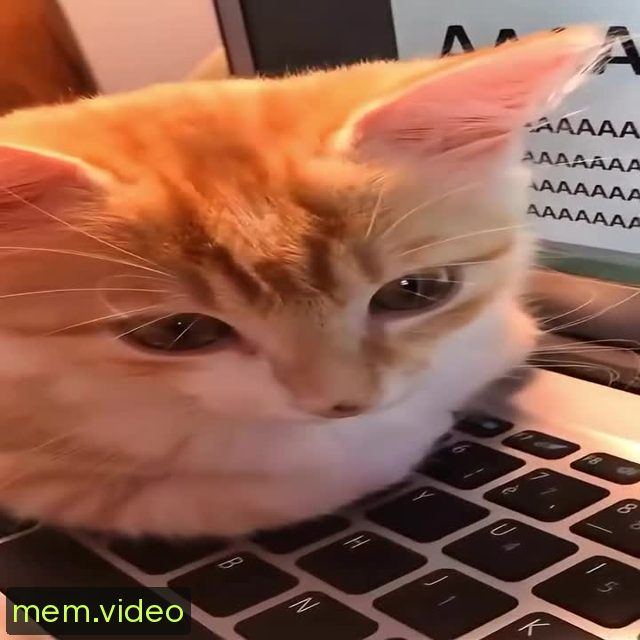 Кадр на 0:08