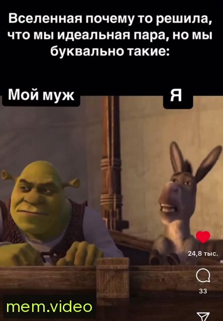 Кадр на 0:00