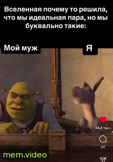 Кадр на 0:00