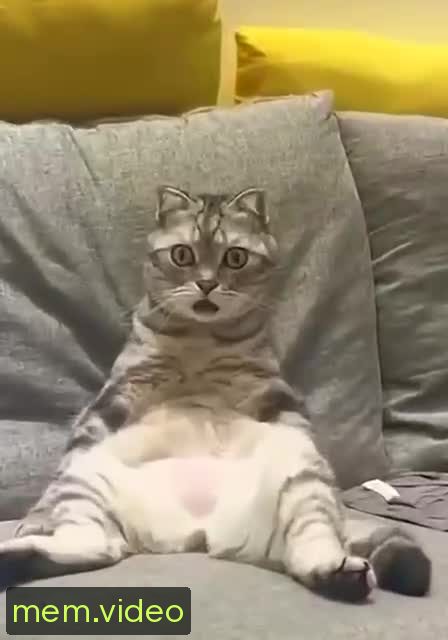 Кадр на 0:00