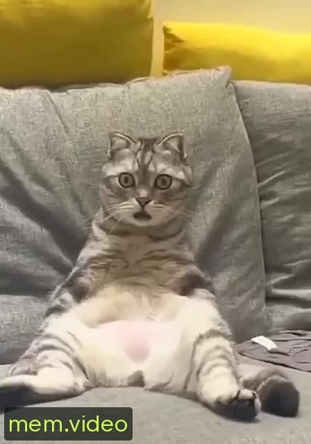 Кадр на 0:01