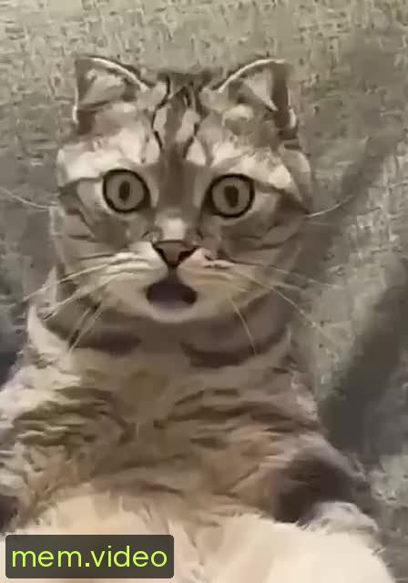Кадр на 0:03