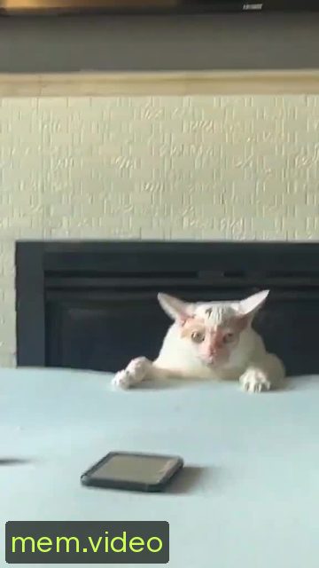 Кадр на 0:03