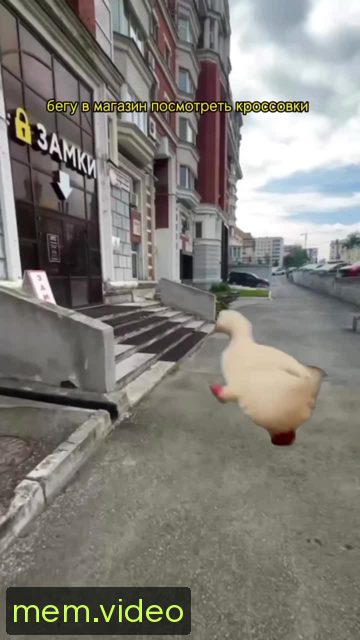 Кадр на 0:00