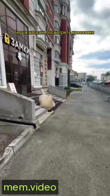 Кадр на 0:01