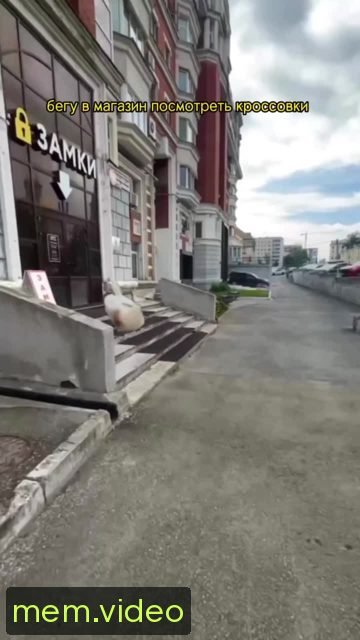 Кадр на 0:01