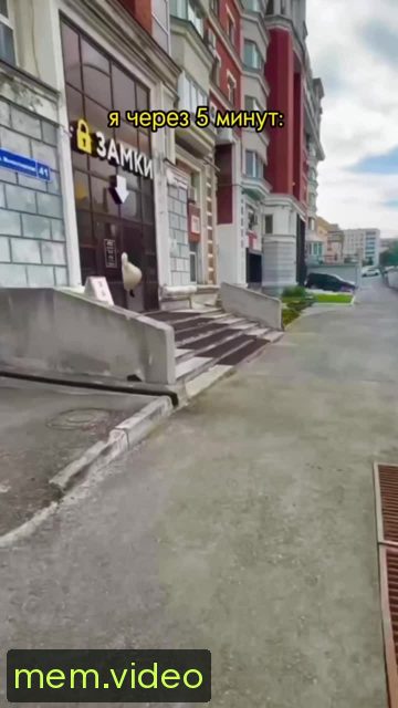 Кадр на 0:03