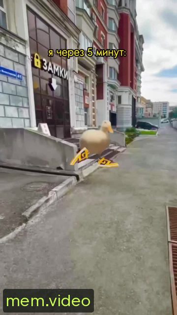 Кадр на 0:04