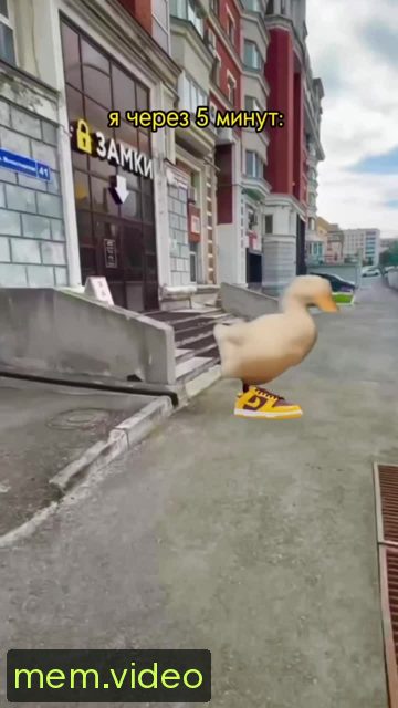 Кадр на 0:04