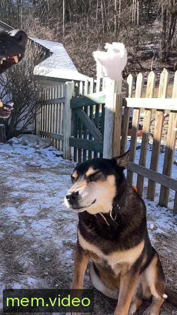 Кадр на 0:03