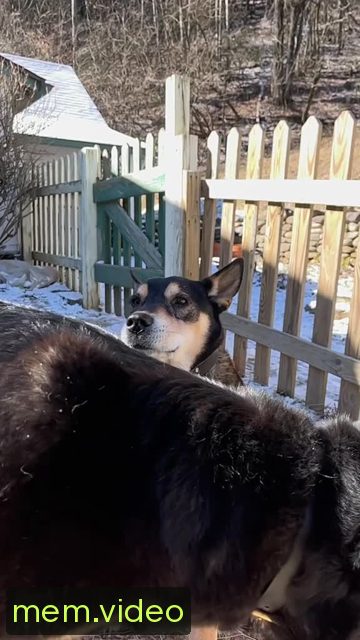 Кадр на 0:09