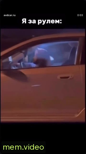 Кадр на 0:04