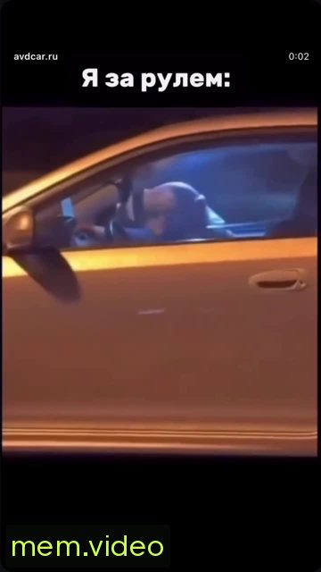 Кадр на 0:05