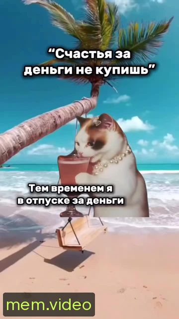 Кадр на 0:00