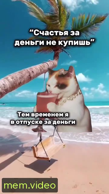 Кадр на 0:00