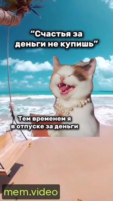 Кадр на 0:06