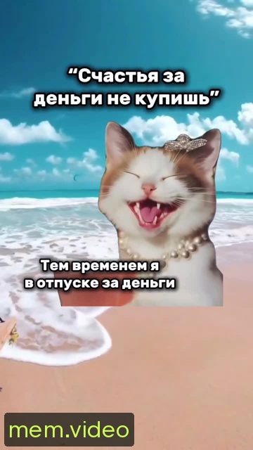 Кадр на 0:08