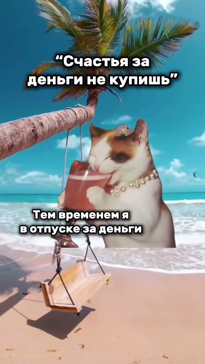 Кадр: «Счастья за деньги не купишь» — кошка пьет коктейль