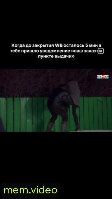 Кадр на 0:00