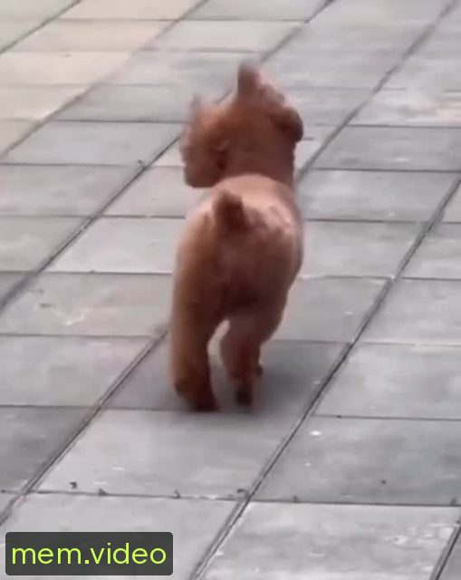 Кадр на 0:02