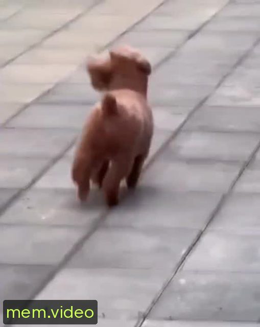 Кадр на 0:02