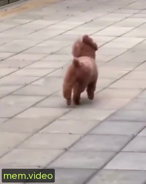 Кадр на 0:03
