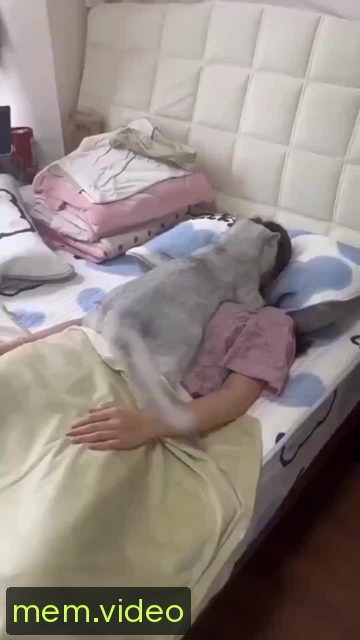 Кадр на 0:00