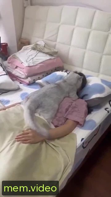 Кадр на 0:01