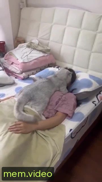 Кадр на 0:02