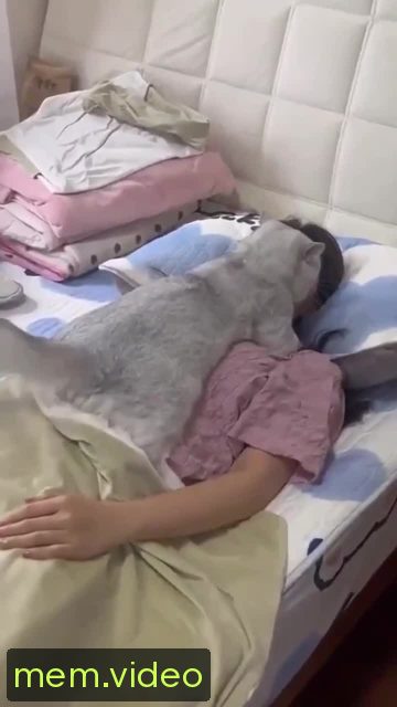 Кадр на 0:03