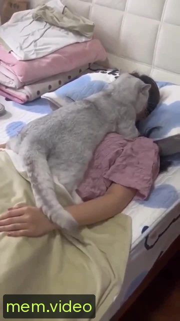 Кадр на 0:04