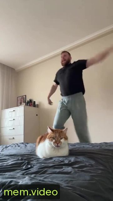 Кадр на 0:01