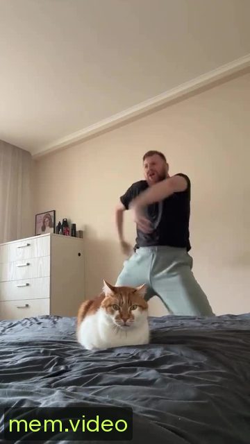 Кадр на 0:09