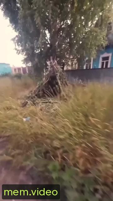 Кадр на 0:04