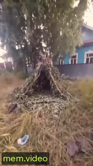 Кадр на 0:06