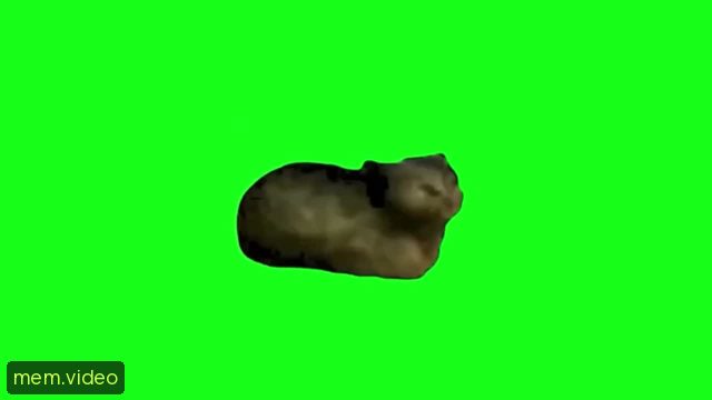 Кадр на 0:05