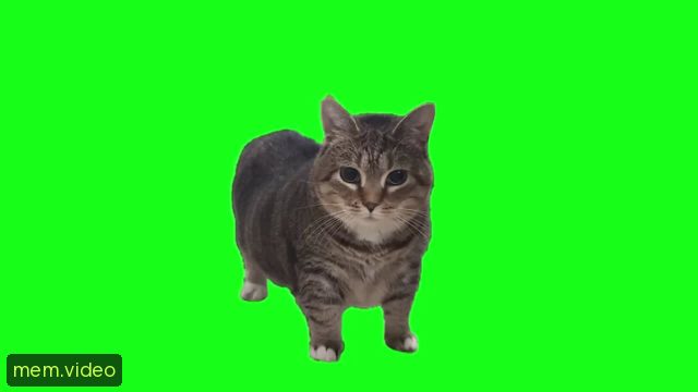 Кадр на 0:06