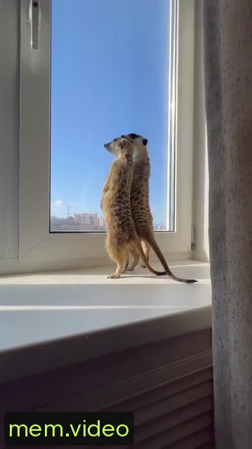 Кадр на 0:22