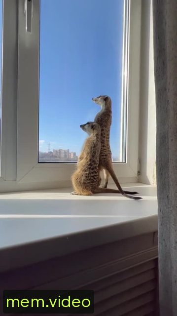 Кадр на 0:27