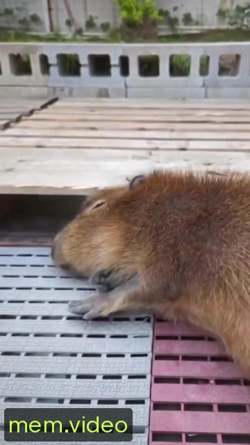 Кадр на 0:02